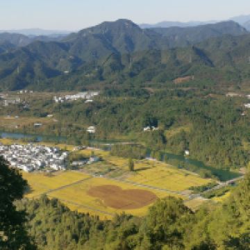 評論圖片 9