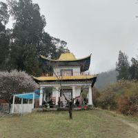 評論圖片 4