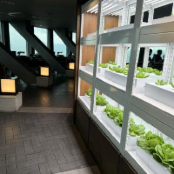 評論圖片 7