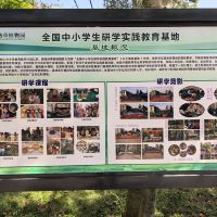 評論圖片 2