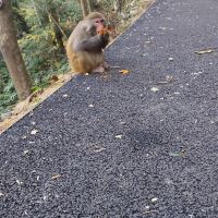 評論圖片 9