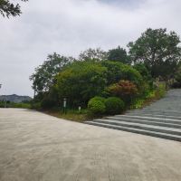 評論圖片 5
