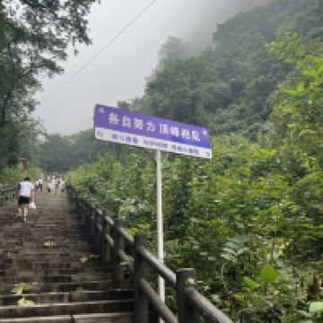 評論圖片 5