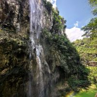 評論圖片 9