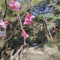 評論圖片 5