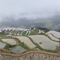 評論圖片 1