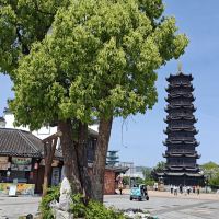 評論圖片 5