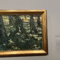 評論圖片 3