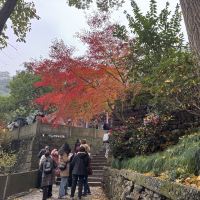 評論圖片 6