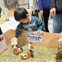評論圖片 8