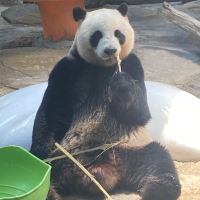 評論圖片 1