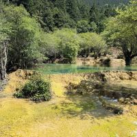 評論圖片 4