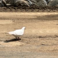 評論圖片 9