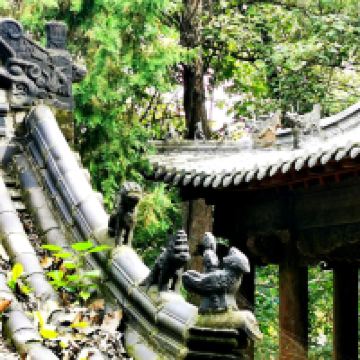 評論圖片 2