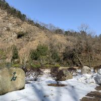 評論圖片 2