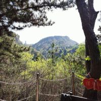 評論圖片 3