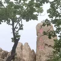 評論圖片 7