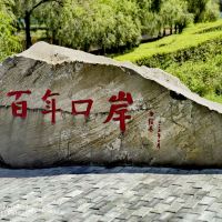 評論圖片 6