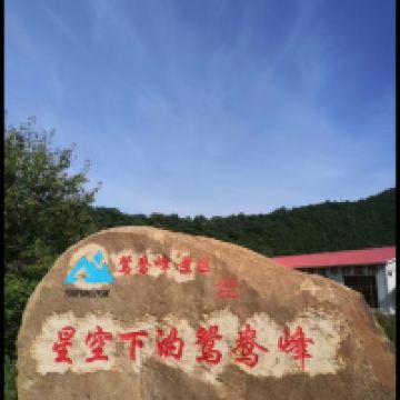評論圖片 4