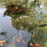 評論圖片 8