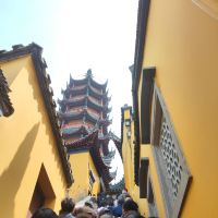 評論圖片 6