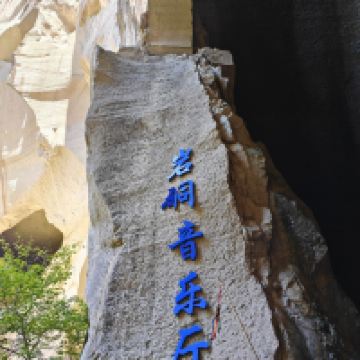 評論圖片 5