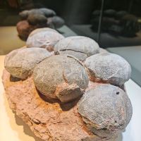評論圖片 6