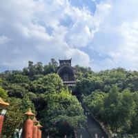 評論圖片 4