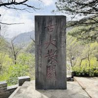評論圖片 5