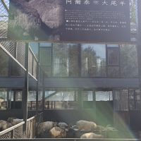 評論圖片 3