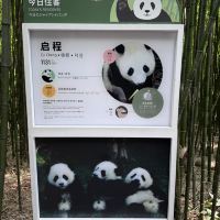 評論圖片 4