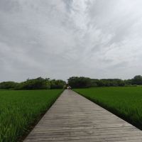 評論圖片 1