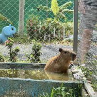評論圖片 4