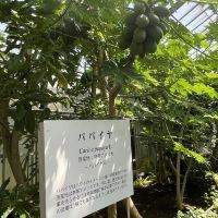 評論圖片 9