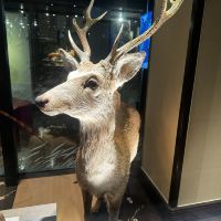 評論圖片 1