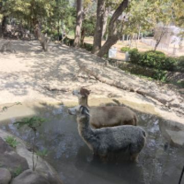 評論圖片 1