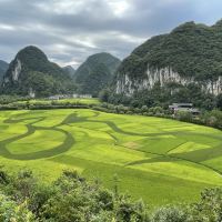 評論圖片 3