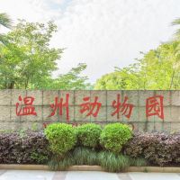 評論圖片 1