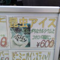 評論圖片 6