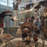 評論圖片 4