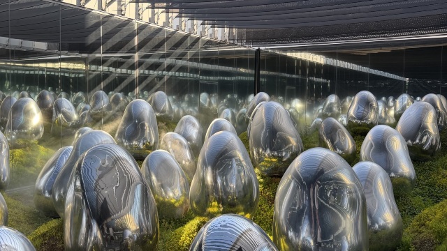 review picture
