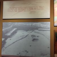 評論圖片 1