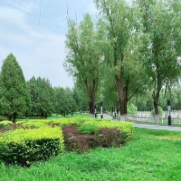 評論圖片 5