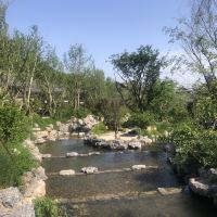 評論圖片 5