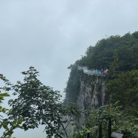 評論圖片 6