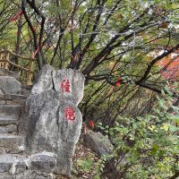 評論圖片 7