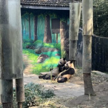 評論圖片 4