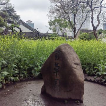 評論圖片 4
