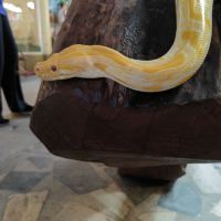 評論圖片 4