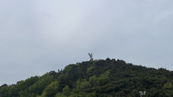 观海散心还是很不错的，岛上公交车比较少，建议自己租车，就是价